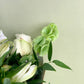 Elegant Whites Seasonal Florists Choice Bouquet
